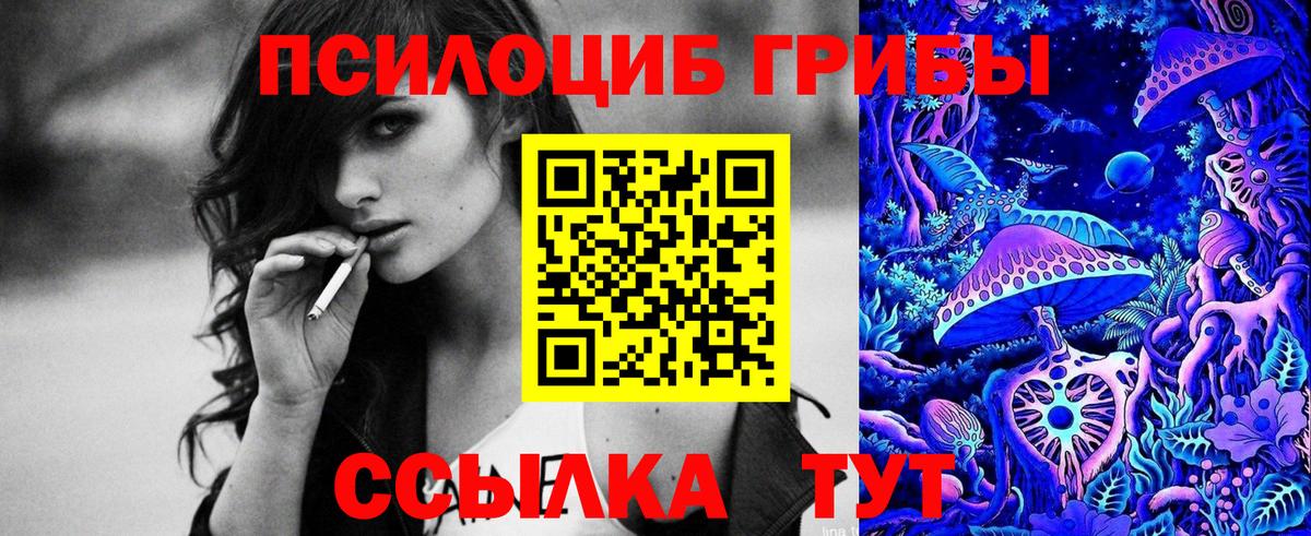 Гусев  Псилоцибиновые грибы Cubensis  Псилоцибиновые грибы Psilocybine cubensis  Вход с VPN 